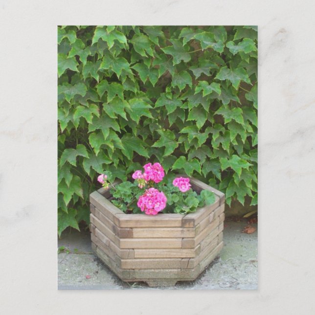 Monets blommor vykort (Framsida)