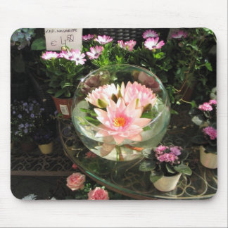 Monets Lillies Musmatta
