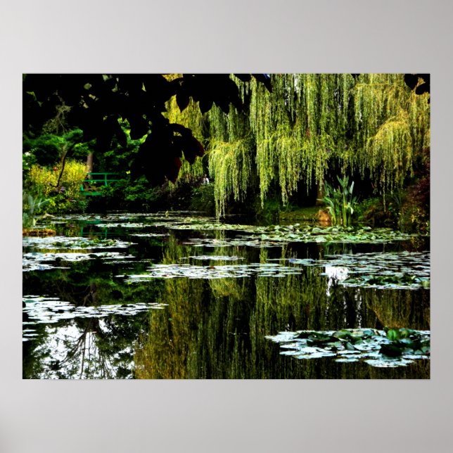 Monets Lily Pond med Willows, Giverny, Frankrike Poster (Framsidan)