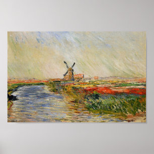 Monets Tulip Fält i Nederländerna Poster