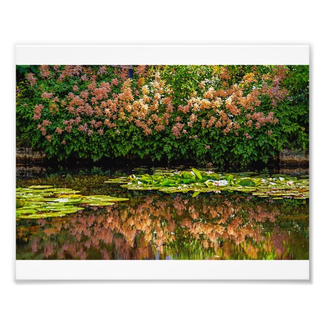 Monets Vatten Lilies Fototryck (Framsidan)