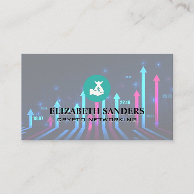 Money Bag | Fin Tech | Diagram Visitkort (Framsida)