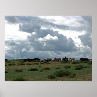 Mongoliska hästar poster