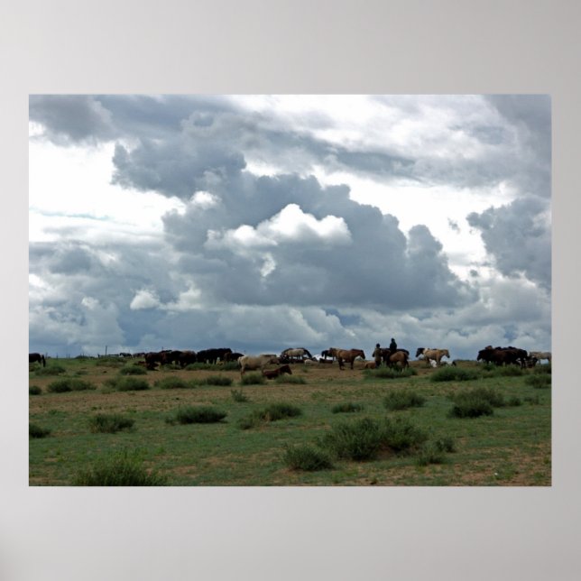 Mongoliska hästar poster (Framsidan)