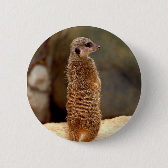 Mongoose10 Knapp (Framsida)