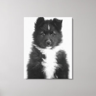 Mongrel Hund, Studio Shot Canvastryck