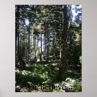 Monhegan Fairy Poster