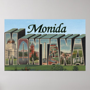 Monida Montana Poster