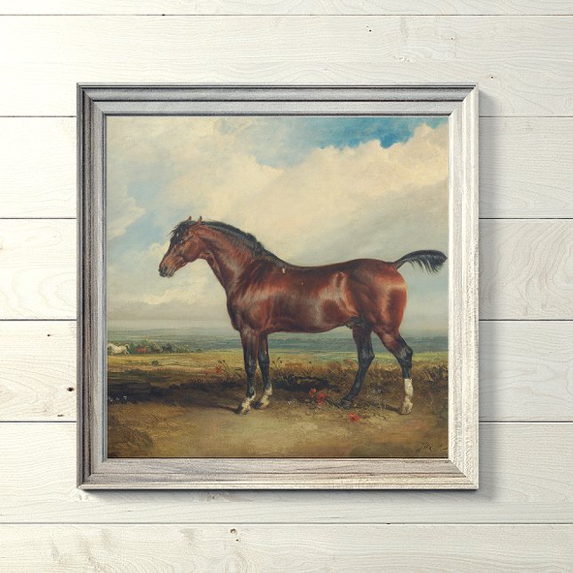 "Monitor" Horse Painting by James Ward Poster (Skapare uppladdad)
