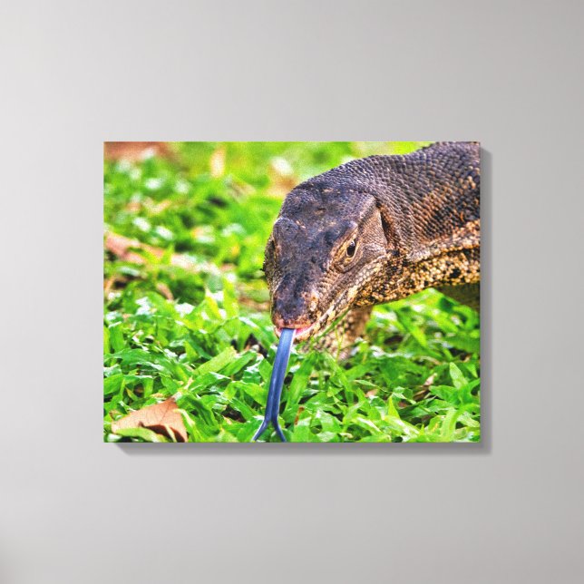 Monitor Lizard Canvastryck (Framsida)