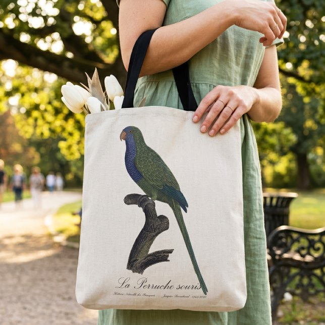 Monk Parakeet or Monk Parrot, Myiopsitta Monachus Tygkasse (Monk Parakeet or Monk Parrot, Myiopsitta Monachus. Tote Bag)