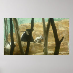 Monkeering runt poster