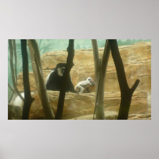 Monkeering runt poster (Framsidan)