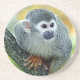Monkey 004 underlägg