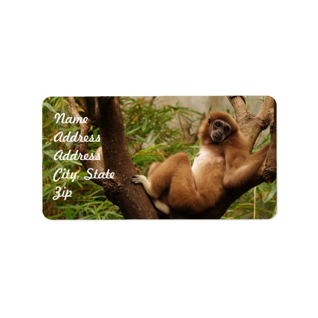 Monkey Adress Sticker Adressetikett (Framsidan)