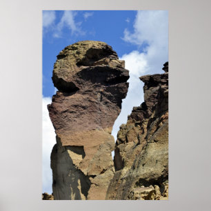 Monkey Ansikte Poster