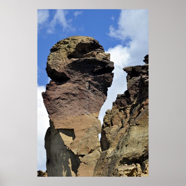 Monkey Ansikte Poster (Framsidan)