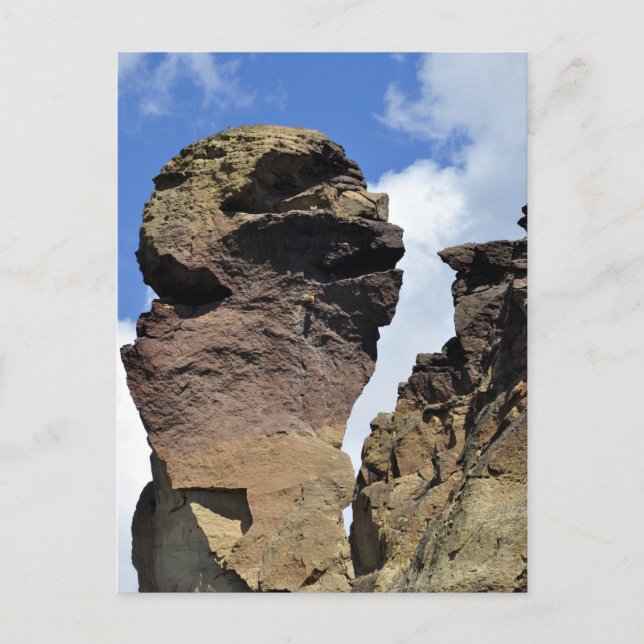 Monkey Ansikte Vykort (Framsida)