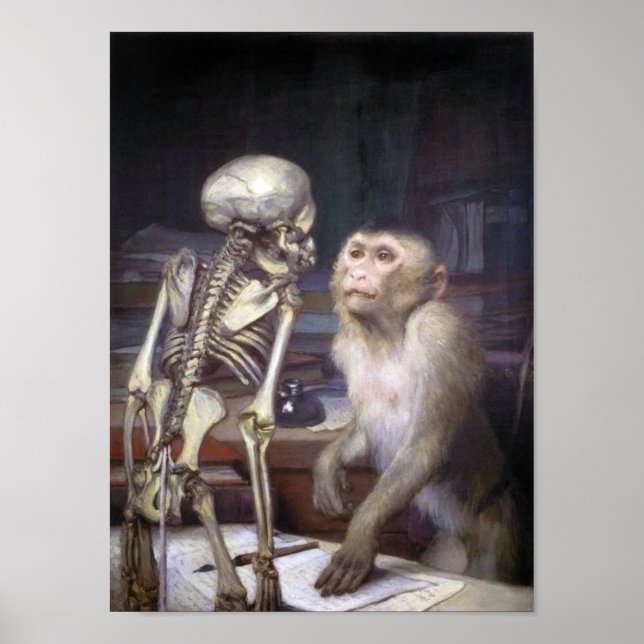 Monkey Before Skeleton Poster (Framsidan)