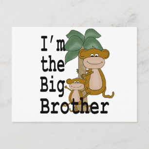 Monkey Big Brother Vykort