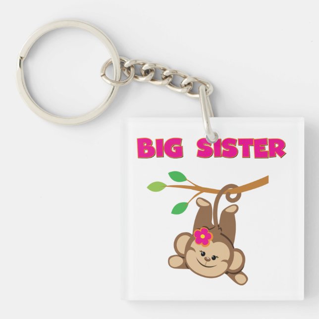 Monkey Big Sister (Framsidan)