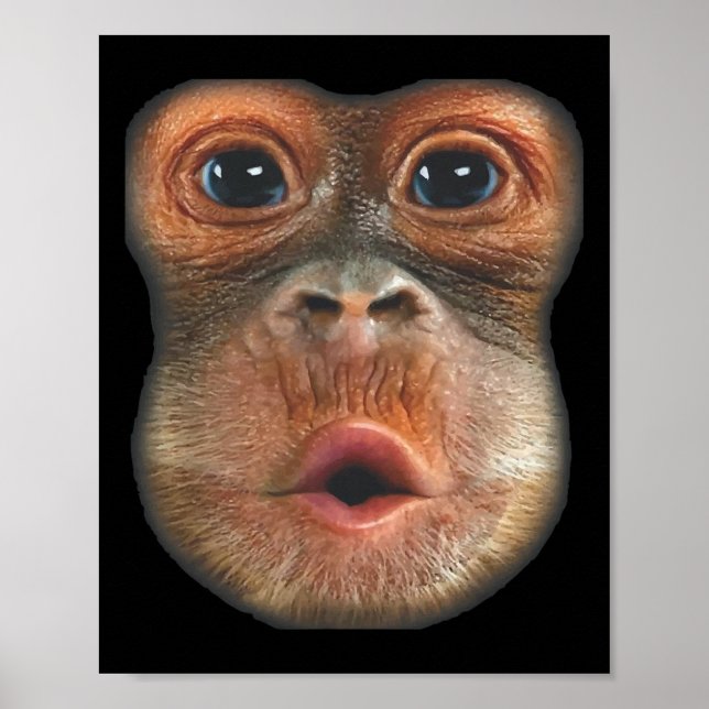 Monkey Blowing Stomach Face  Poster (Framsidan)