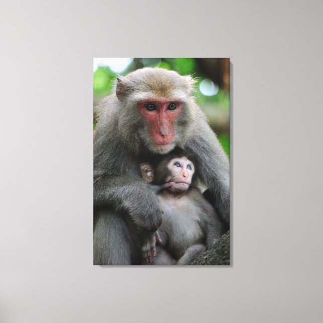 Monkey Breast Matar hennes Baby Canvastryck (Framsida)