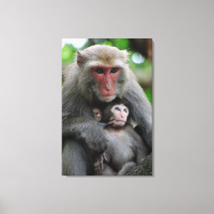 Monkey Breast Matar hennes Baby Canvastryck