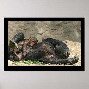 Monkey Business Poster