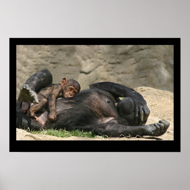 Monkey Business Poster (Framsidan)