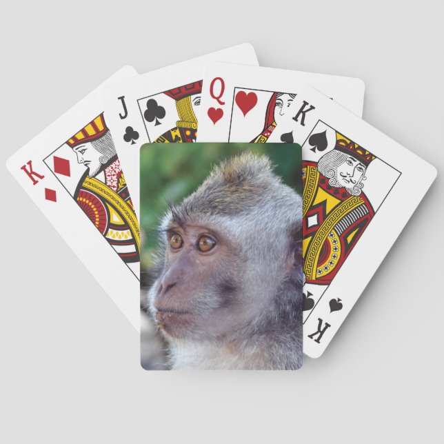 Monkey Casinokort (Baksidan)
