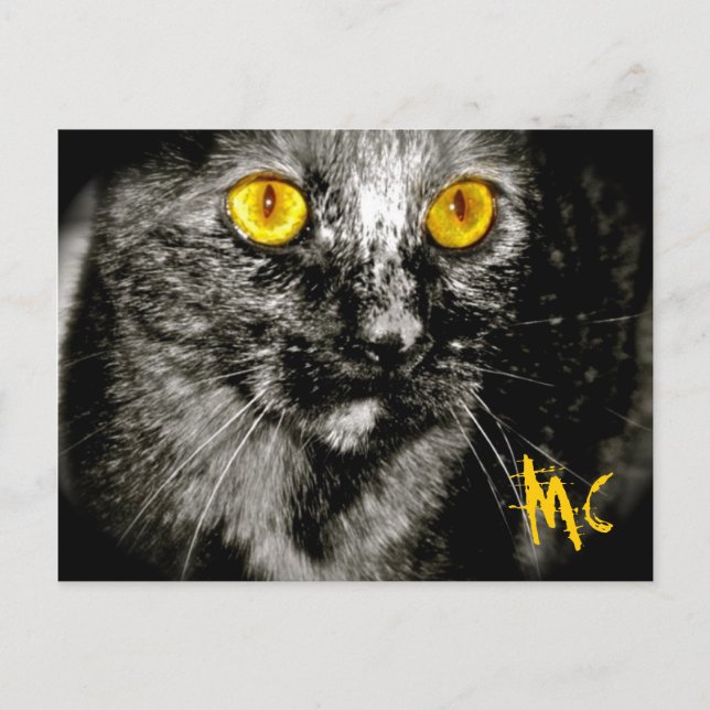 Monkey Cat-vykort Vykort (Framsida)