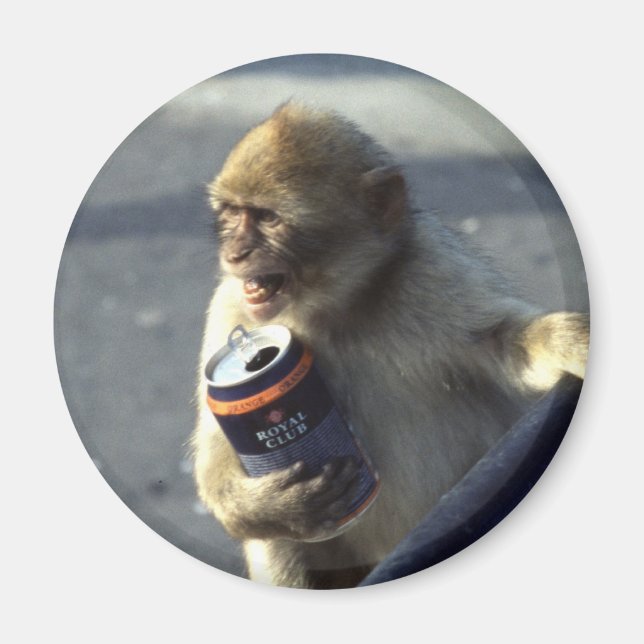 Monkey Drinking Magnet (Framsidan)