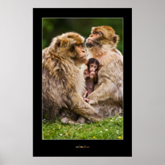 Monkey-familjen Poster