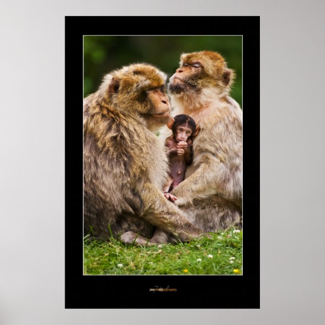 Monkey-familjen Poster (Framsidan)