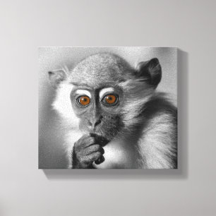Monkey för Baby-mansapa Canvastryck