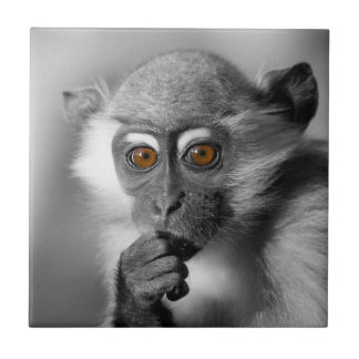 Monkey för Baby-mansapa Kakelplatta