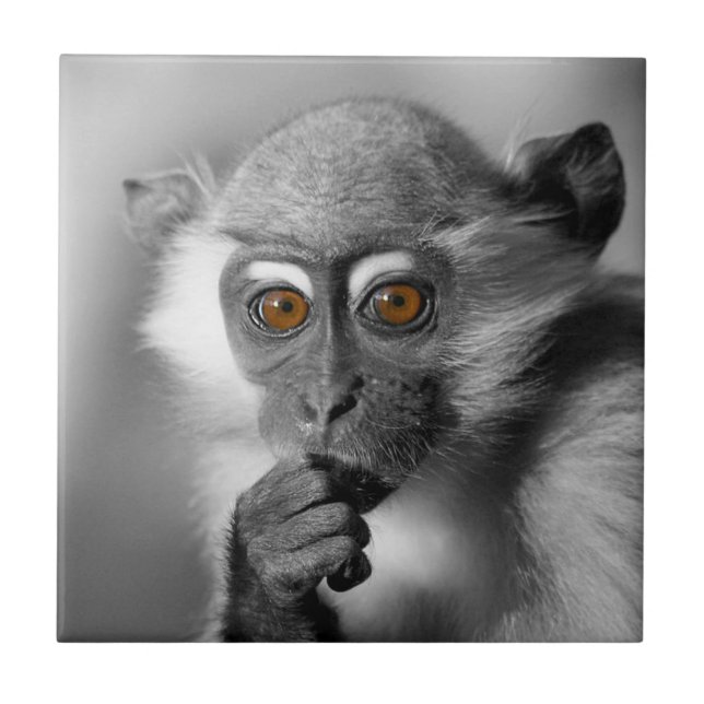 Monkey för Baby-mansapa Kakelplatta (Framsidan)