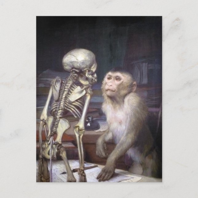 Monkey Före Skeleton Vykort (Framsida)