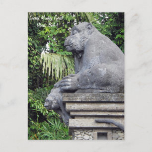Monkey Forest vycard Vykort