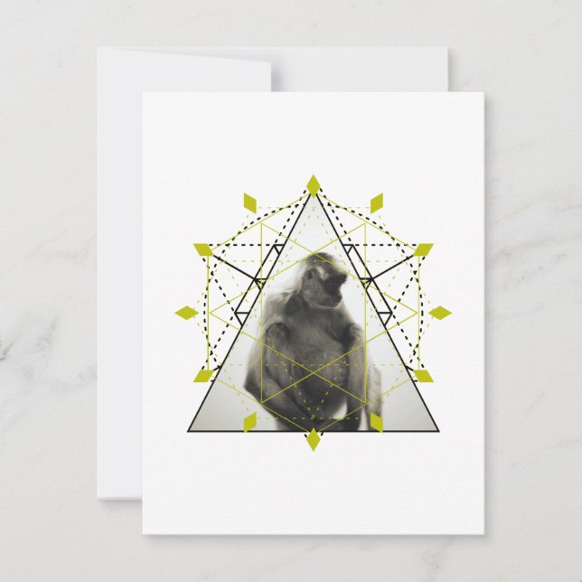 Monkey Geometry (Framsida)