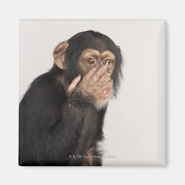 Monkey gnuggar ansikte magnet (Framsidan)