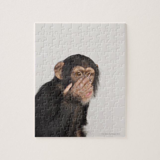 Monkey gnuggar ansikte pussel (Vertikal)