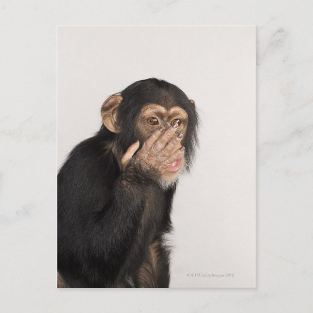 Monkey gnuggar ansikte vykort (Framsida)