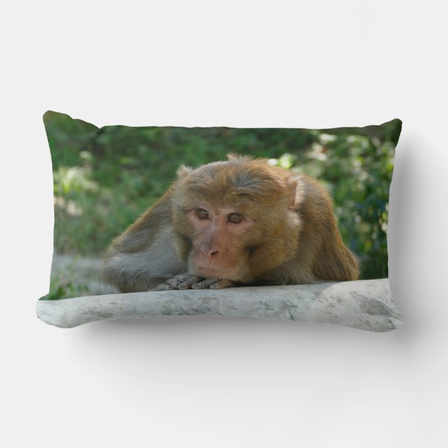 Monkey - Grandfather Lumbarkudde (Framsida)