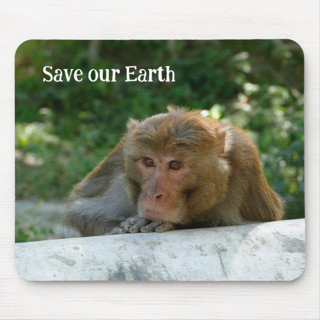 Monkey - Grandfather Musmatta (Framsidan)