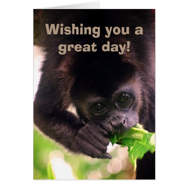 Monkey Hälsningskort (Framsidan)