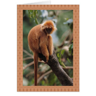 Monkey Hälsningskort