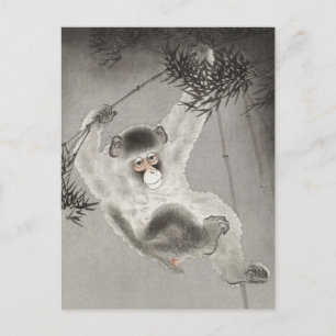 Monkey Hanging från Bamboo Gren av Ohara Koson Vykort