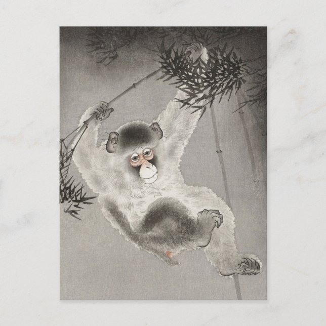 Monkey Hanging från Bamboo Gren av Ohara Koson Vykort (Framsida)